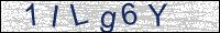 Verify Security Code